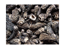 Сморчки сушеные целые "Грибная почта"