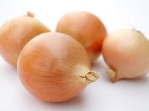 Лук сорта «Нерато»  ИП Альмахов